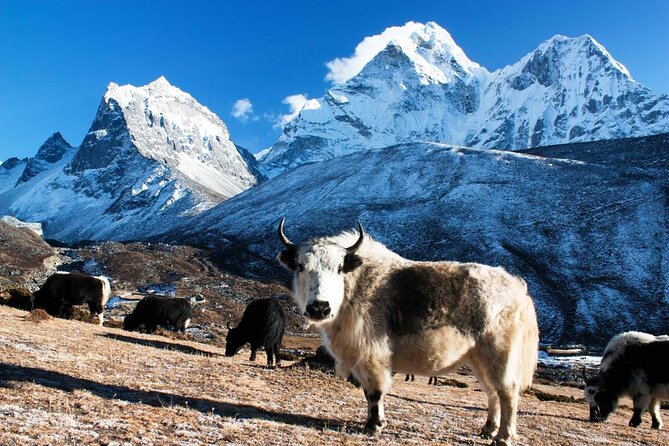 Everest Base Camp Trekking - Key things to know before you go