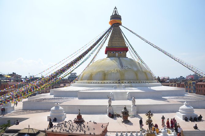 Experiential Tour of Nepal. - Chitwan: Wildlife Safari Day, Built for Wonder and Safety
