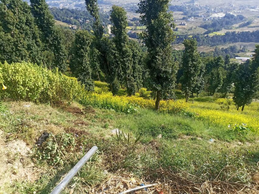 From Kathmandu: Everest View from Nagarkot & hike to Changu - Price and value: where that $43 fits, and what can add up
