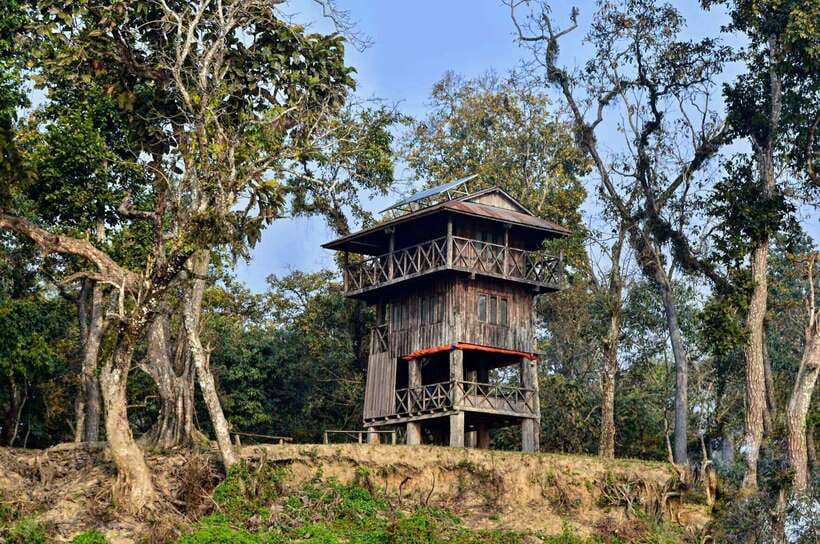 From Kathmandu/Pokhara: 2, 3, or 4-Day Chitwan Jungle Safari - Key Highlights I’d Prioritize
