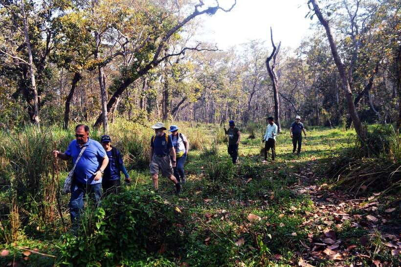 From Kathmandu/Pokhara: 2, 3, or 4-Day Chitwan Jungle Safari - Getting to Chitwan: Kathmandu or Pokhara Transfers That Don’t Waste Your Day