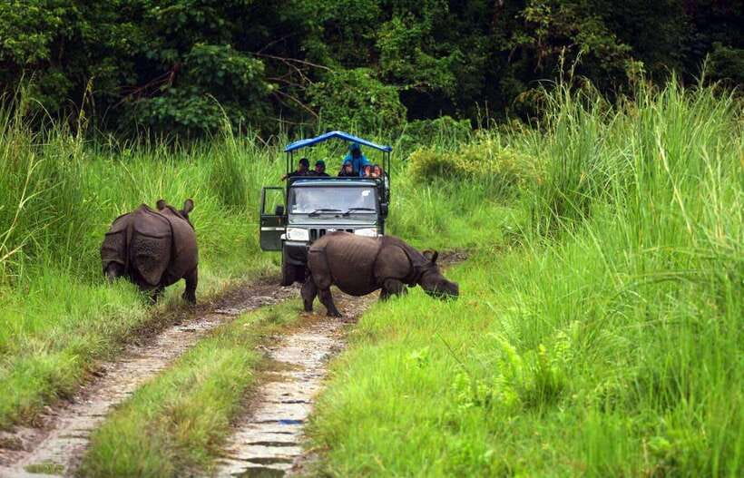 From Kathmandu/Pokhara: 2, 3, or 4-Day Chitwan Jungle Safari - What You Can Expect in Each Day (2, 3, or 4)