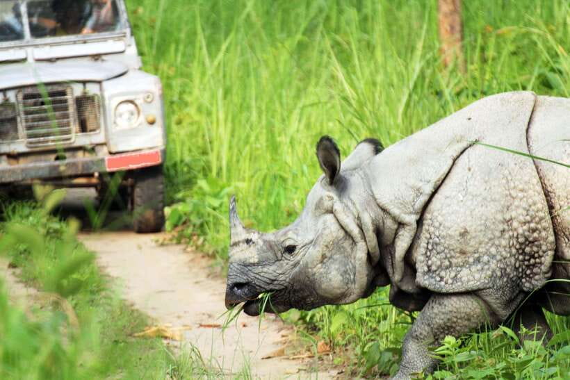 From Kathmandu/Pokhara: 2, 3, or 4-Day Chitwan Jungle Safari - Tharu Sunset Evening: Culture Built Into the Rhythm