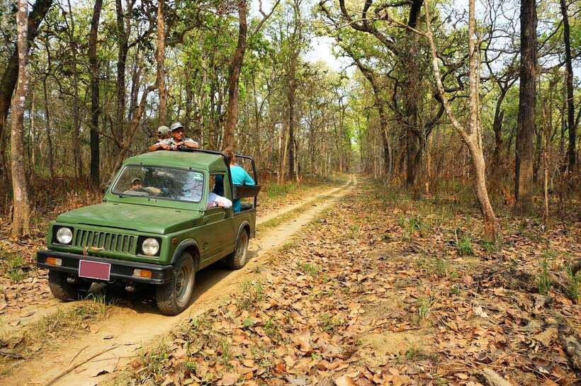 From Kathmandu/Pokhara: 2, 3, or 4-Day Chitwan Jungle Safari - Price and Value: What $35 Covers (and Why It Adds Up)