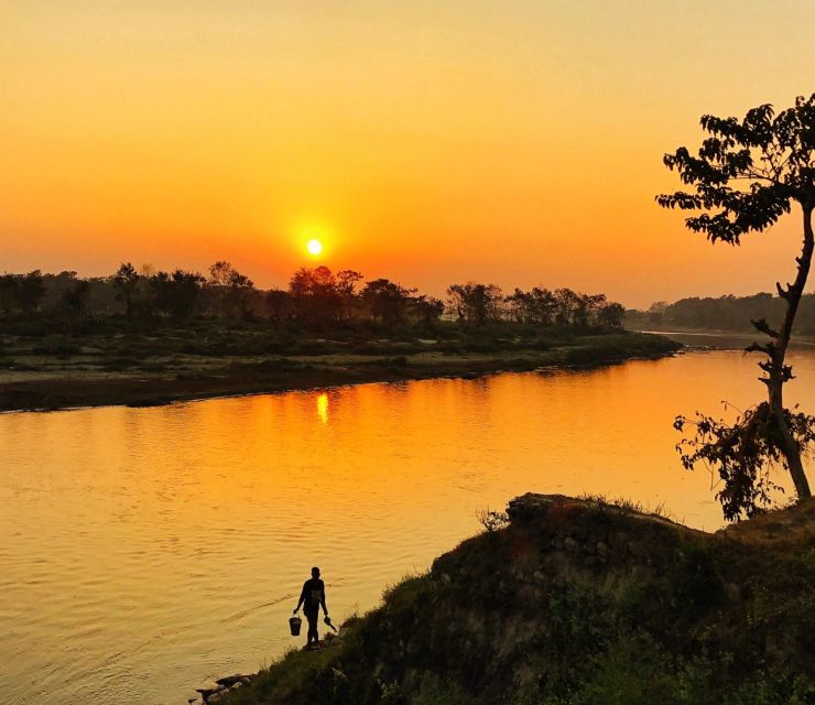 From Kathmandu/Pokhara: 3-Day All-Inclusive Chitwan Safari - Quick hits before you go