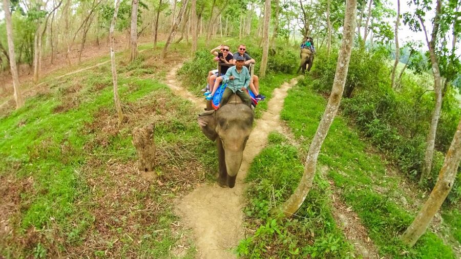 From Kathmandu/Pokhara: 3-Day All-Inclusive Chitwan Safari - Day 2: Rapti River canoe ride, elephant center, then Chitwan by Jeep