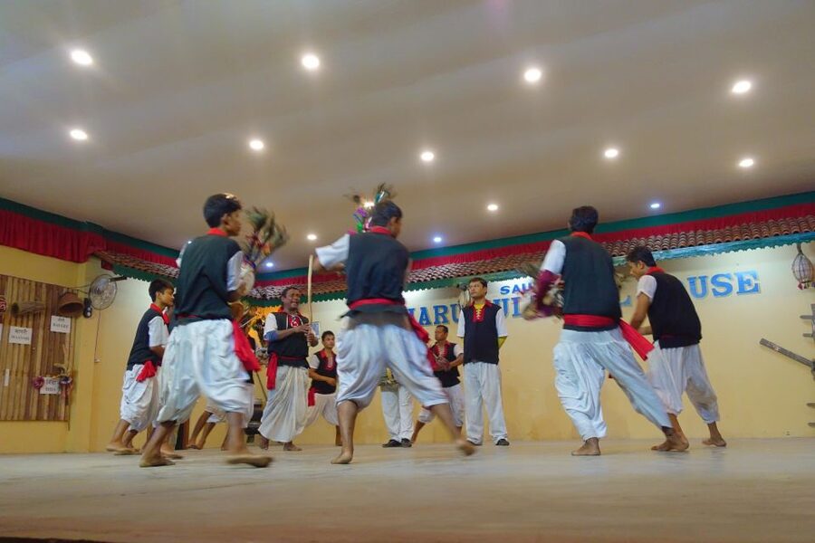 From Kathmandu/Pokhara: 3-Day All-Inclusive Chitwan Safari - Safety and wildlife viewing: what to trust, what to double-check