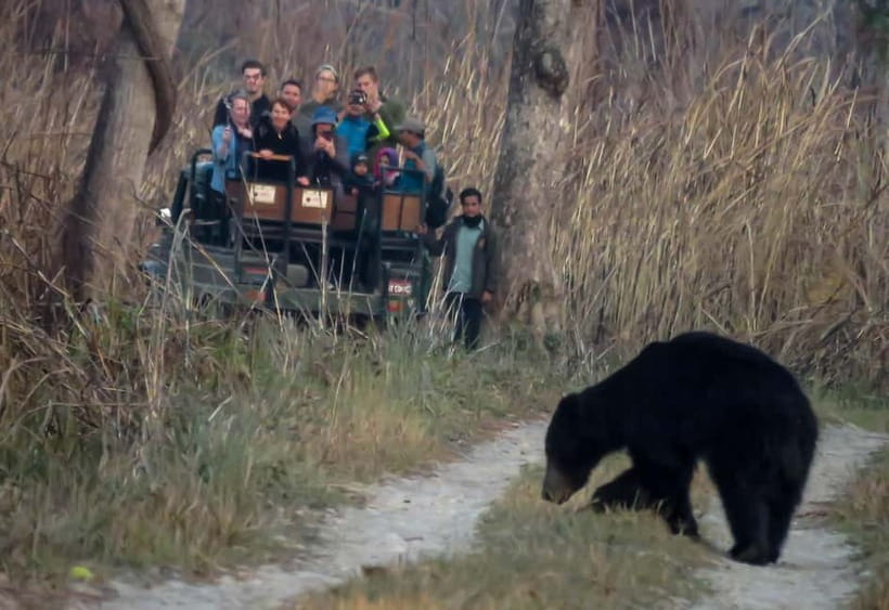 From Kathmandu/Pokhara: 3-Day Chitwan National Park Tour - Day 1: arrival, lunch, sunset point, and Tharu culture
