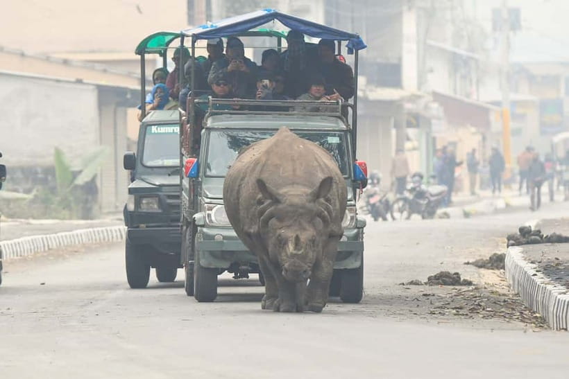 From Kathmandu/Pokhara: 3-Day Chitwan National Park Tour - What to bring and what to respect in Chitwan