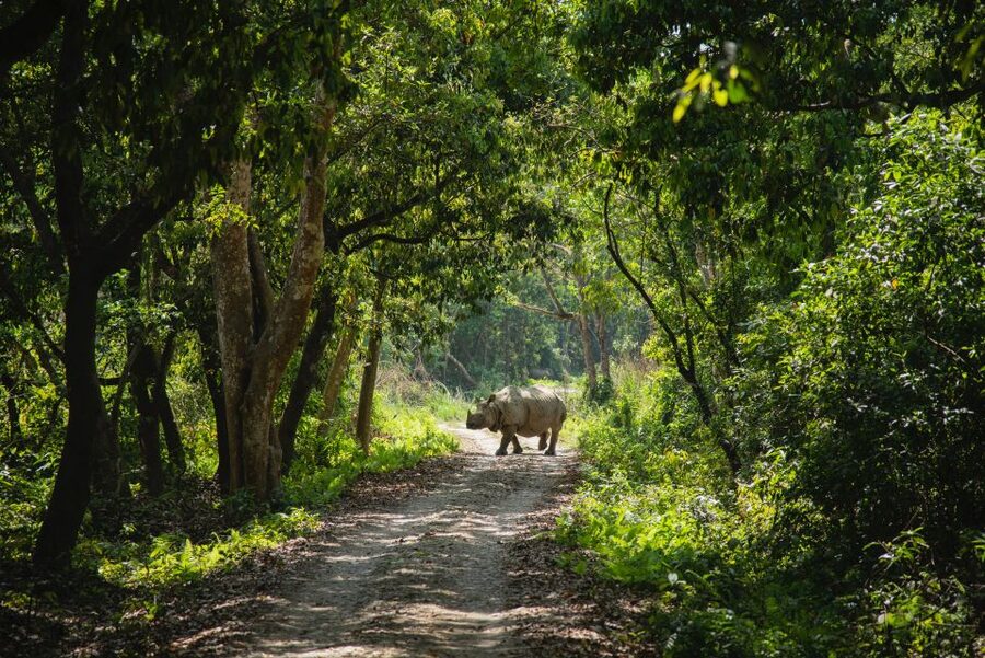 From Kathmandu/Pokhara: Private 3-Day Chitwan Safari Tour - Day 1: Cultural show, Nepali dinner, and settling into Chitwan