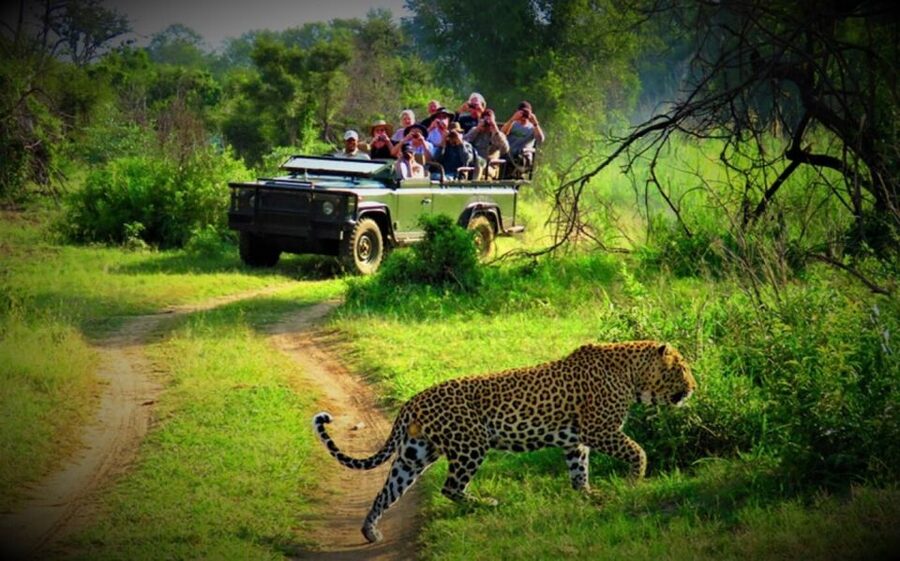 From Kathmandu/Pokhara: Private 3-Day Chitwan Safari Tour - Getting from Kathmandu or Pokhara without the headache