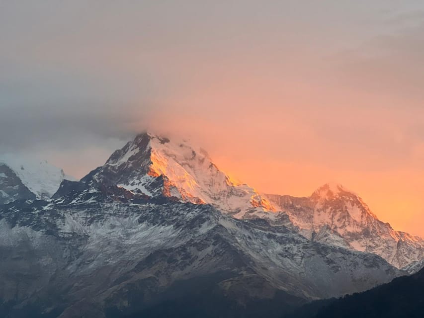 From Pokhara: 2 Day 1 Night Ulleri,Ghorepani Poon Hill Trek - Ulleri to Ghorepani: rhododendron walking and the ridge-village feel