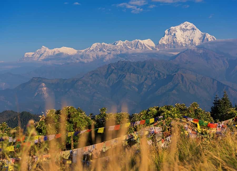 From Pokhara: 3-Day Ghorepani Poon Hill Trek with Guide - Day 3: The Early Push to Poon Hill Sunrise, Then the Descent