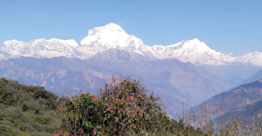 From Pokhara: 4-Day Annapurna and Poon Hill Himalayan Trek - Key Things I’d Prioritize Before You Go