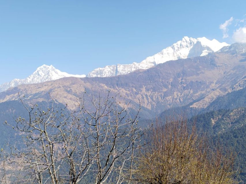 From Pokhara: 4-Day Annapurna and Poon Hill Himalayan Trek - The Gentle Ending Back to Nayapul and Pokhara (Day 4)