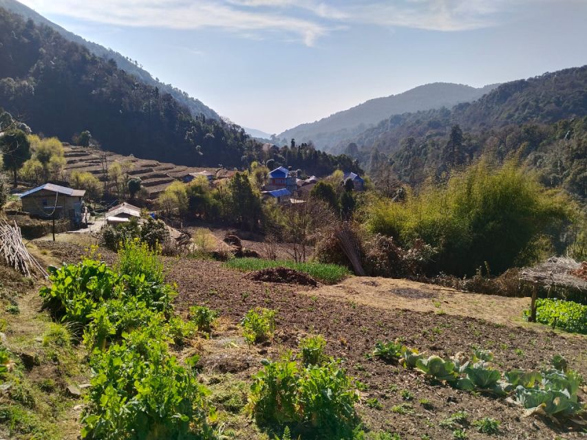 From Pokhara: 4-Day Annapurna and Poon Hill Himalayan Trek - From Pokhara to Ulleri and Ghorepani: Setting Up the Trek (Day 1)