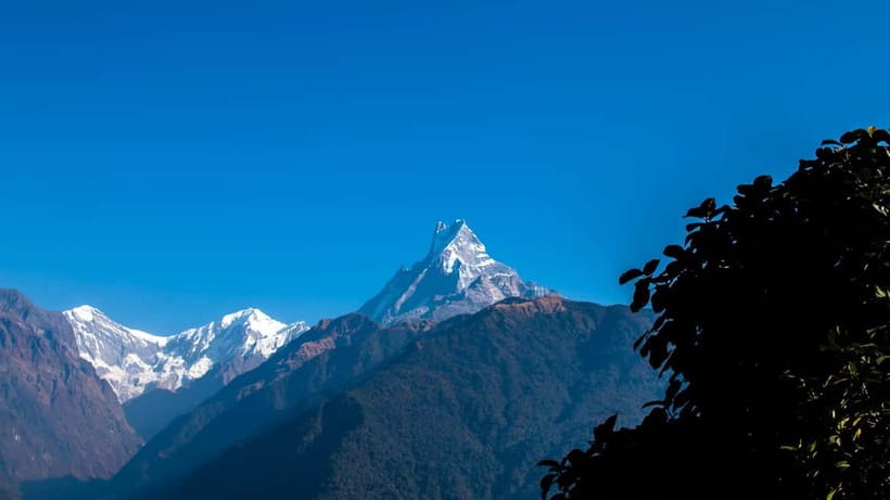From Pokhara: 4-Day Mardi Himal Base Camp Trek - The Guide Makes the Difference: Private Pacing and Local Insight