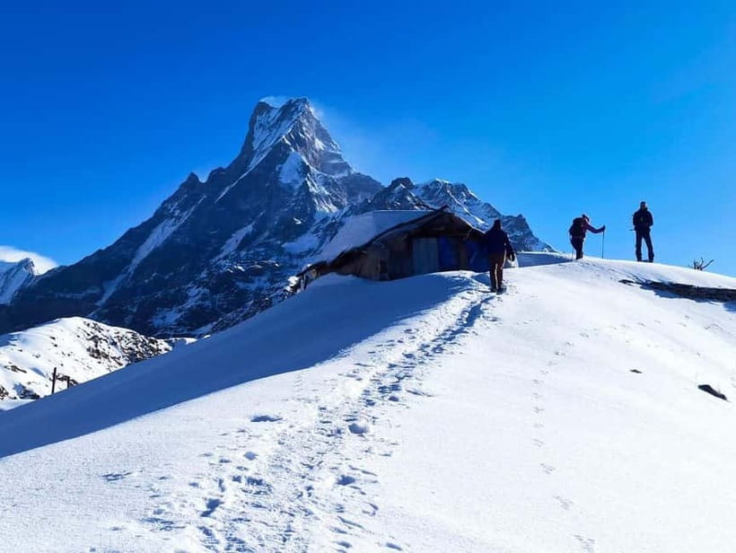 From Pokhara: 4-Day Mardi Himal Base Camp Trek - Day Two: Forest Camp to High Camp Through Rhododendron Country
