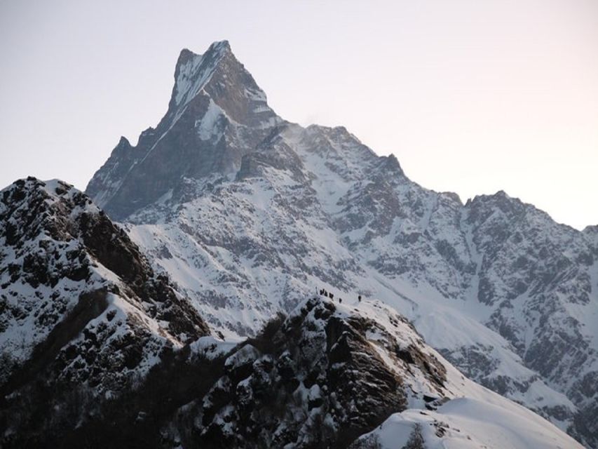From Pokhara: 5-Day Mardi Himal Base Camp Trek - Tea houses, meals, and the real value of what is included