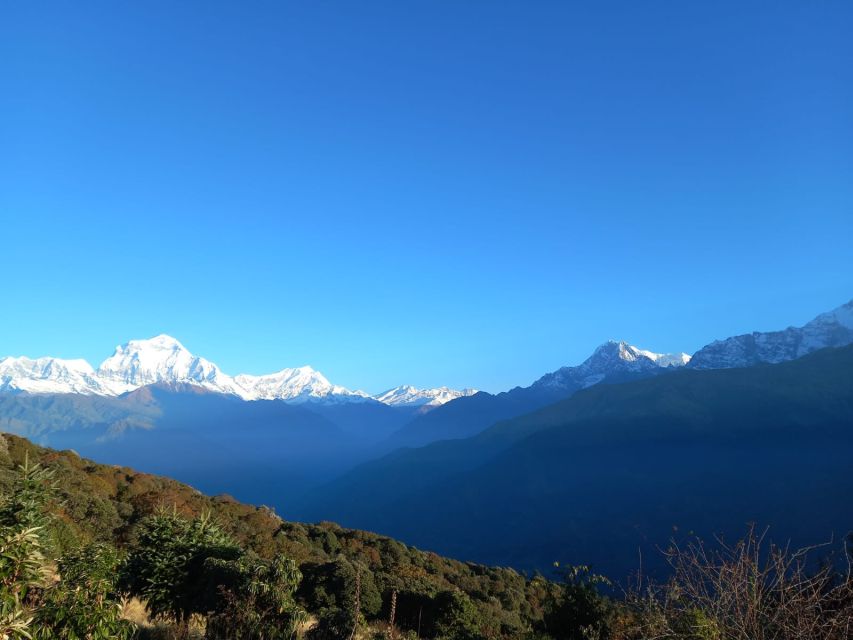 From Pokhara: Australian Camp & Dhampus 1, or 2-Day Trek - Australian Camp at 2,060 m: those 180-degree Annapurna views