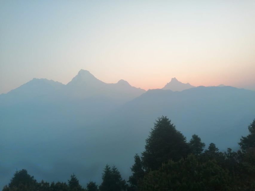 From Pokhara: Budget 2 Night 3 days Poon hill trek - Where the Poon Hill trek really shines