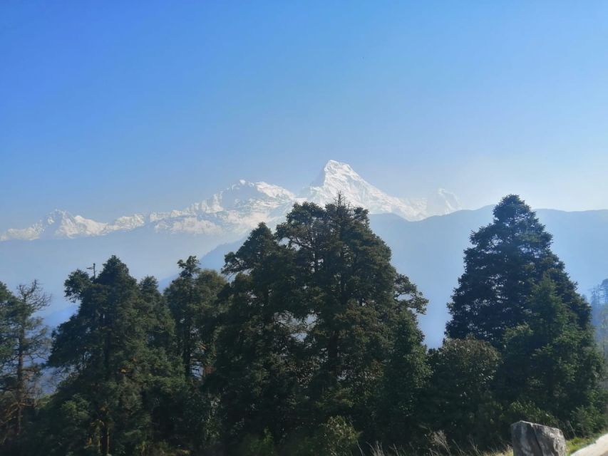 From Pokhara: Budget 2 Night 3 days Poon hill trek - Price and value: what the $179 covers, and how to plan for extra costs