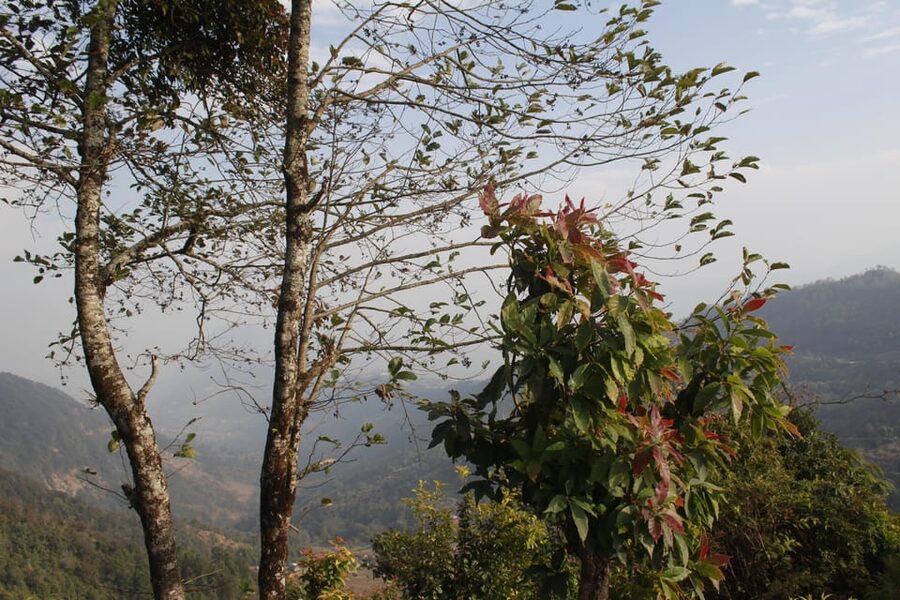 From Pokhara: Day Hiking Australian Camp & Dhampus - When To Go: Sunrise, Weather, And Clear Mountain Views