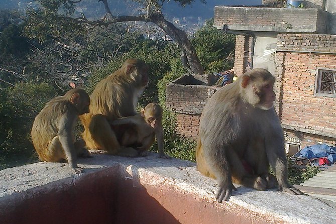Full Day Kathmandu City Sightseeing Tour of UNESCO Heritage Sites - Driving to Patan: the art-city transition