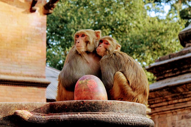 Full Day Private Tour of Kathmandu - UNESCO World Heritage Sites - Stop 2: Pashupatinath on the Bagmati River, Shiva at the edge