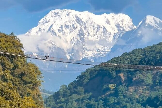Full day Suspension Bridge, Boating, George, Sightseeing Tour - Key highlights to look for before you book