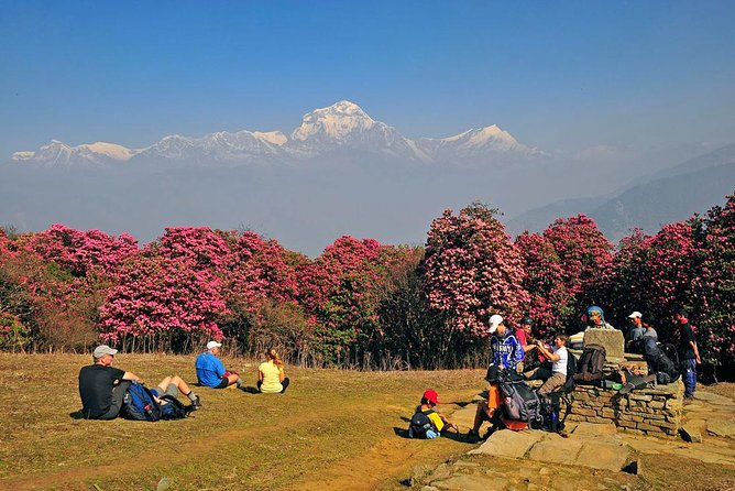 Ghorepani Poon Hill Trek - Price and value: what $399.67 covers in real terms