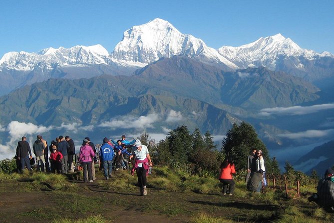Ghorepani - Poon Hill Trek 3N-4D - Annapurna starter trek, with real mountain payoff