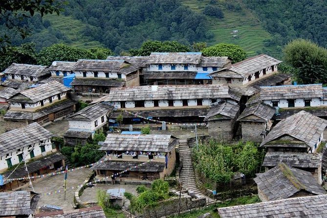 Ghorepani Poon Hill Trek - Day 4: down into forest, then Ghandruk and Gurung village life