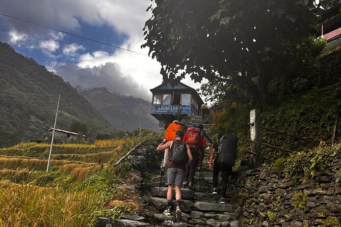 Ghorepani Poonhill Private Trek - 2 nights / 3 days - Day 3 sunrise at Poon Hill, then back to Pokhara