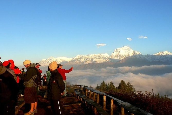 Ghorepani Poonhill Trek 5 Days from Pokhara - Key Points Before You Go