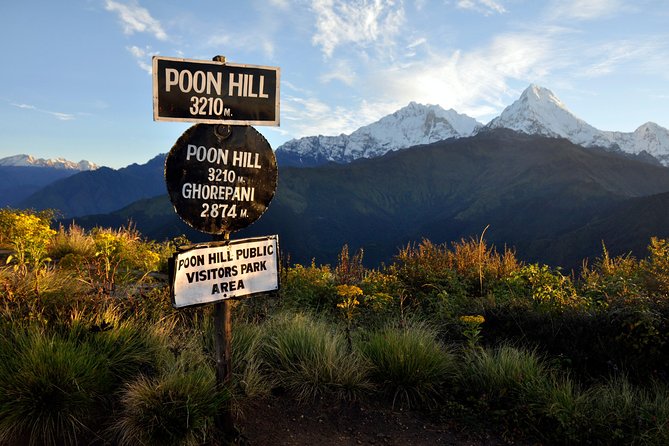 Ghorepani Poonhill Trek 5 Days from Pokhara - Day 1 Ulleri: First Big Day, Lots of Village Steps