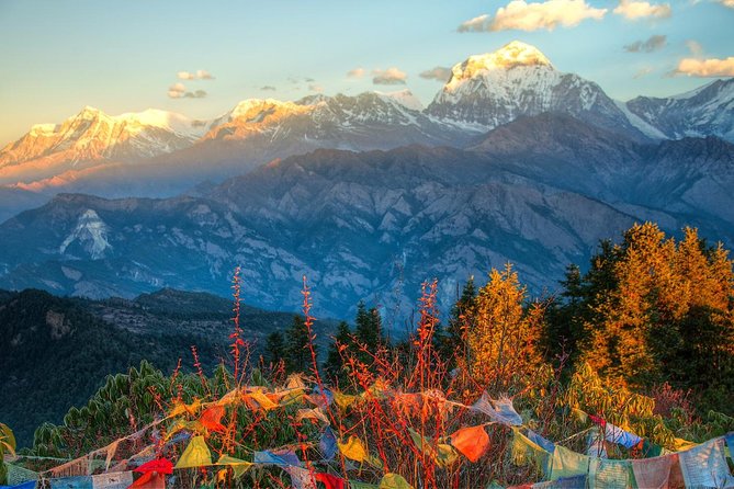 Ghorepani Poonhill Trek 5 Days from Pokhara - What You Get for $450 and Why It Can Still Be a Good Deal