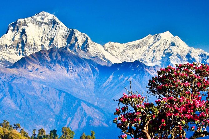 Ghorepani Poonhill Trek -8 Days - Day 2 to Pokhara: The Drive That Sets the Mood