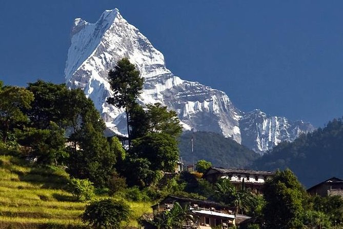 Ghorepani Poonhill Trek -8 Days - Day 4: Ulleri to Ghorepani, Rhododendron Forest Climb