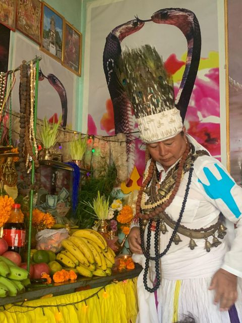 Healing Day tour - Shaman Healing - How the small group and English guide affect your comfort