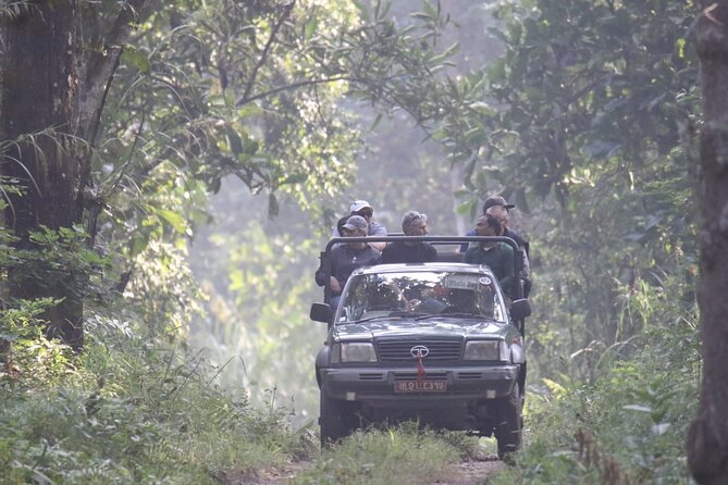Jungle Towernight Stay: 4-Day Tour in Chitwan National Park - Day 4: The Return Drive to Kathmandu and How to End It Well