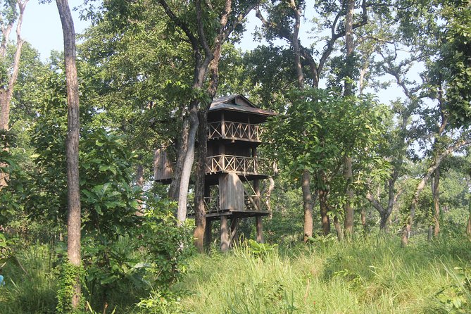 Jungle Towernight Stay In Chitwan National Park ,nepal-2 Nights 3 Days Package - Key Things I’d Bet You’ll Care About Most