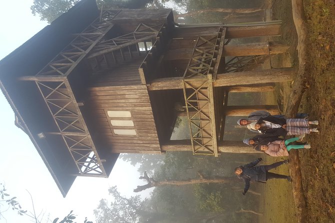 Jungle Towernight Stay In Chitwan National Park ,nepal-2 Nights 3 Days Package - Sleeping in the Jungle Tower: Comfort, Electricity, and Night Sounds