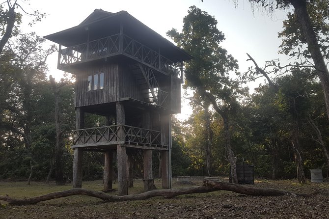 Jungle Towernight Stay In Chitwan National Park ,nepal-2 Nights 3 Days Package - Where You Stay After the Tower: Deluxe Hotel Room Night
