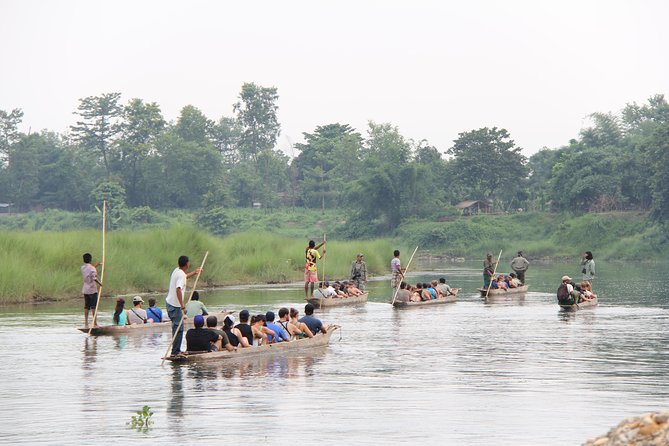 Jungle Towernight Stay In Chitwan National Park ,nepal-2 Nights 3 Days Package - Price and Value in Sauraha: What $225.65 Is Buying