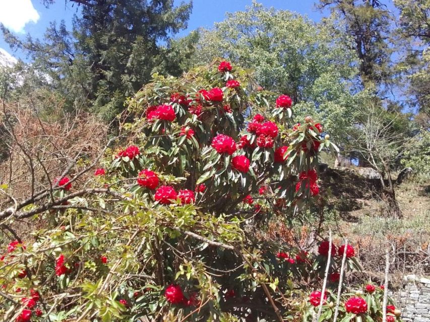 Kathmandu: 10-Day Adventurous Annapurna Circuit Trek - Muktinath to Jomsom, Then Back Down to Pokhara Comfort