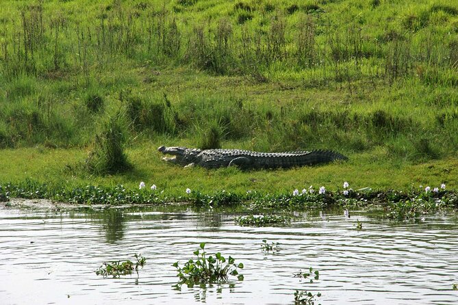 Kathmandu 2 Nights 3 Days Chitwan Jungle Safari Tour - Why Chitwan National Park hits harder with this 3-day rhythm