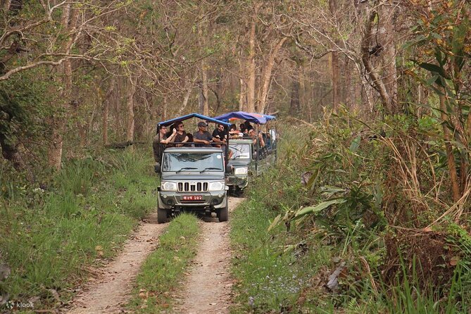Kathmandu 2 Nights 3 Days Chitwan Jungle Safari Tour - Price and value: what $190 gets you, and what it does not