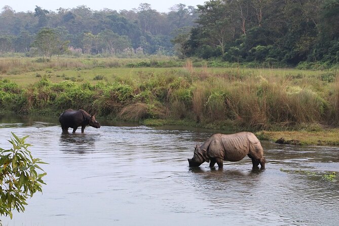 Kathmandu 2 Nights 3 Days Chitwan Jungle Safari Tour - Kathmandu to Chitwan: the 6:30 am start and the Narayani River moment