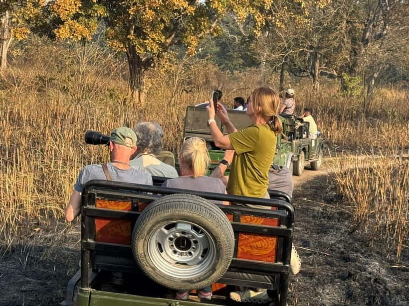 Kathmandu: 3-Day Chitwan Safari Tour with Hotel Transfers - Your Chitwan Base: Safari Adventure Lodge vs Hotel Park Land